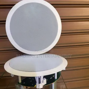 Bluetooth Ceiling Speaker