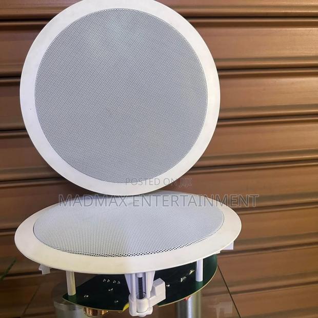 Bluetooth Ceiling Speaker - main view