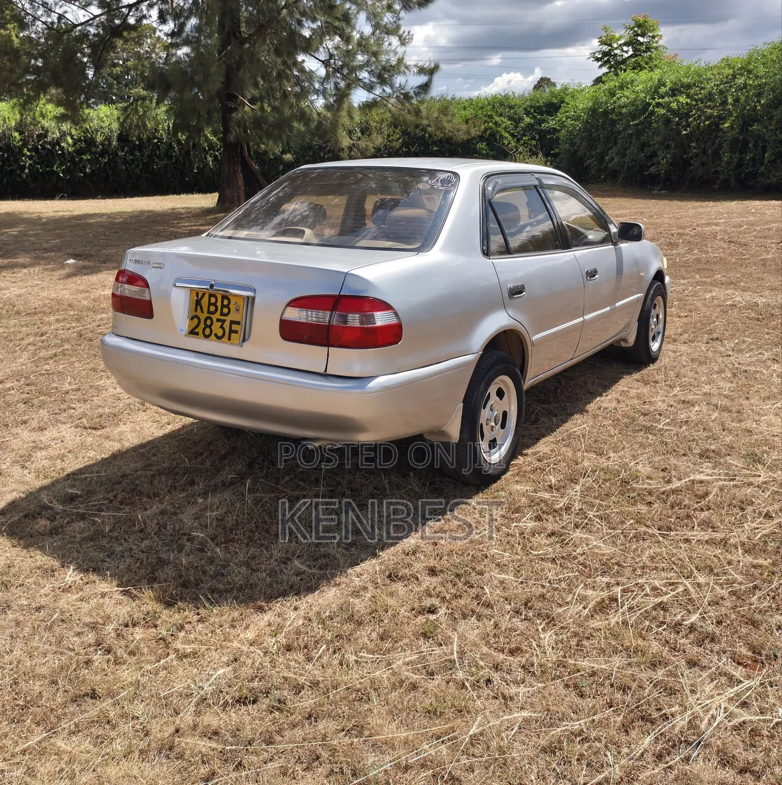 Toyota Corolla 2001 Gray