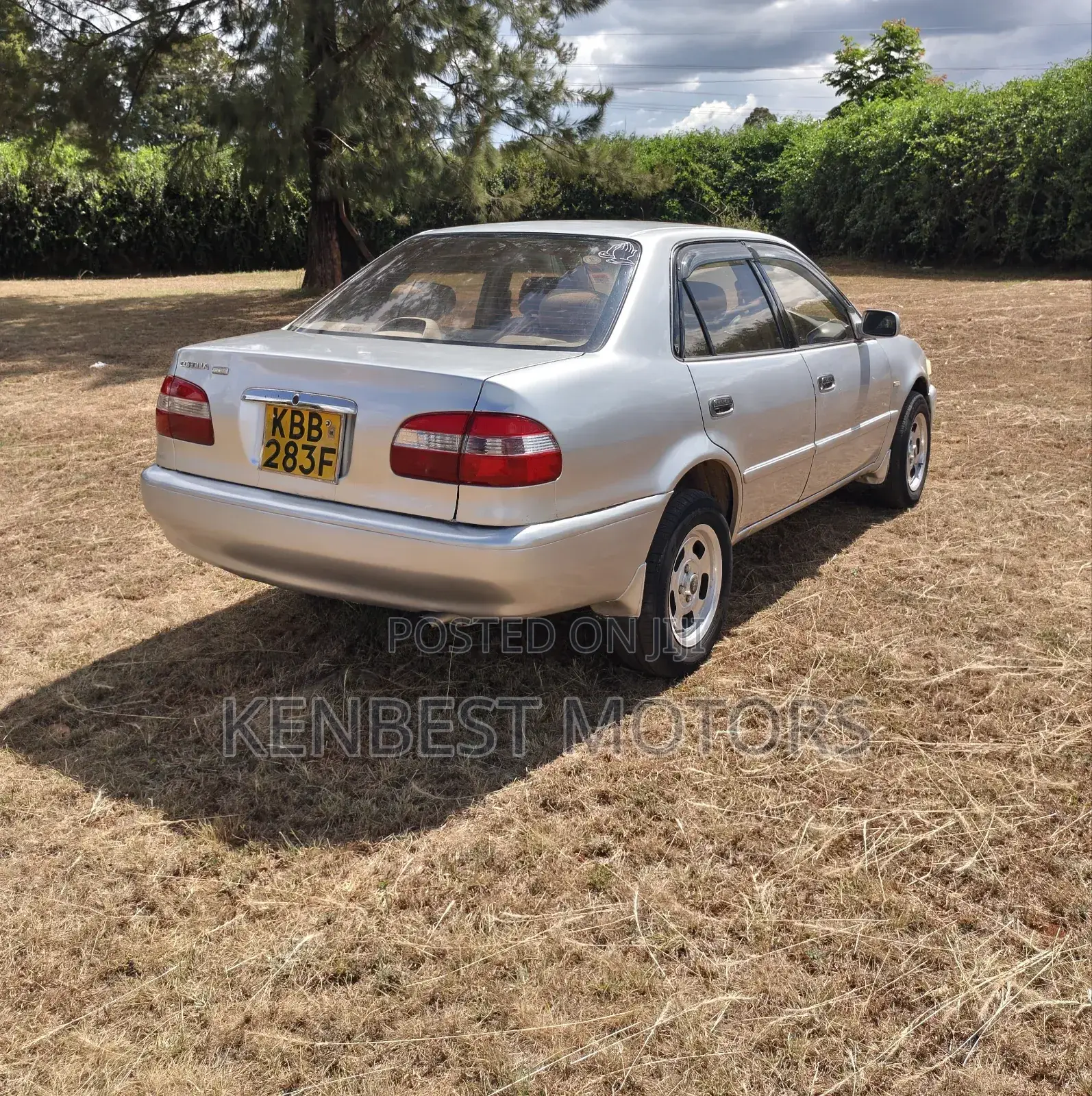 Toyota Corolla 2001 Gray