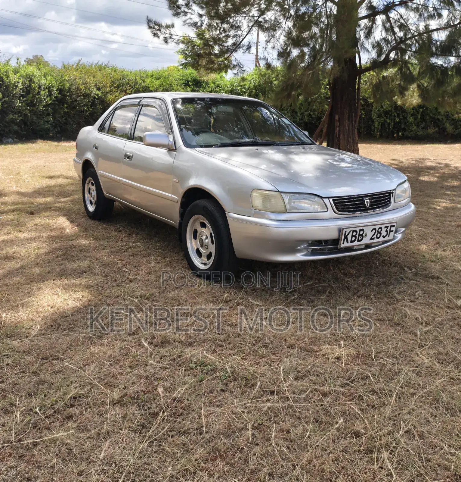 Toyota Corolla 2001 Gray