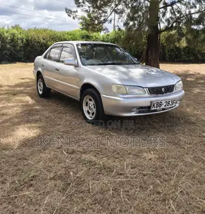 Toyota Corolla 2001 Gray