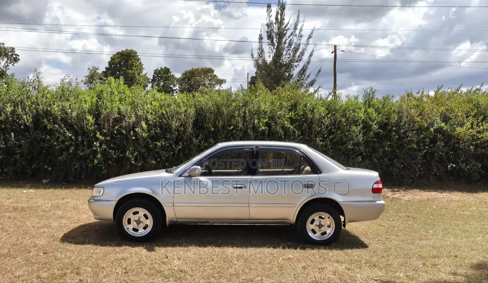 Toyota Corolla 2001 Gray