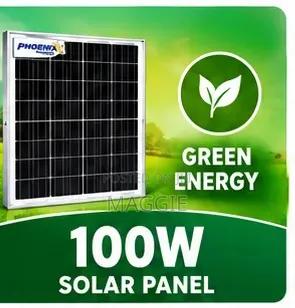 All Weather 100W