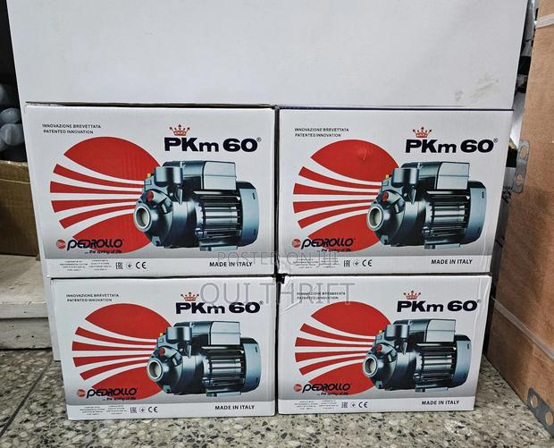 0.5hp Pedrollo Water Pump/Electric Pkm60 Pedrollo Pump
