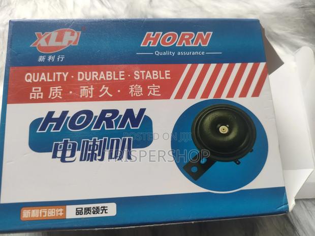 Medium Normal Horn - thumbnail 2