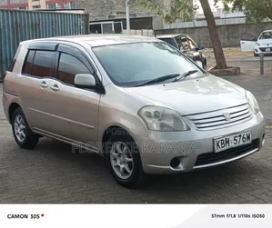 Toyota Raum 2004 Brown