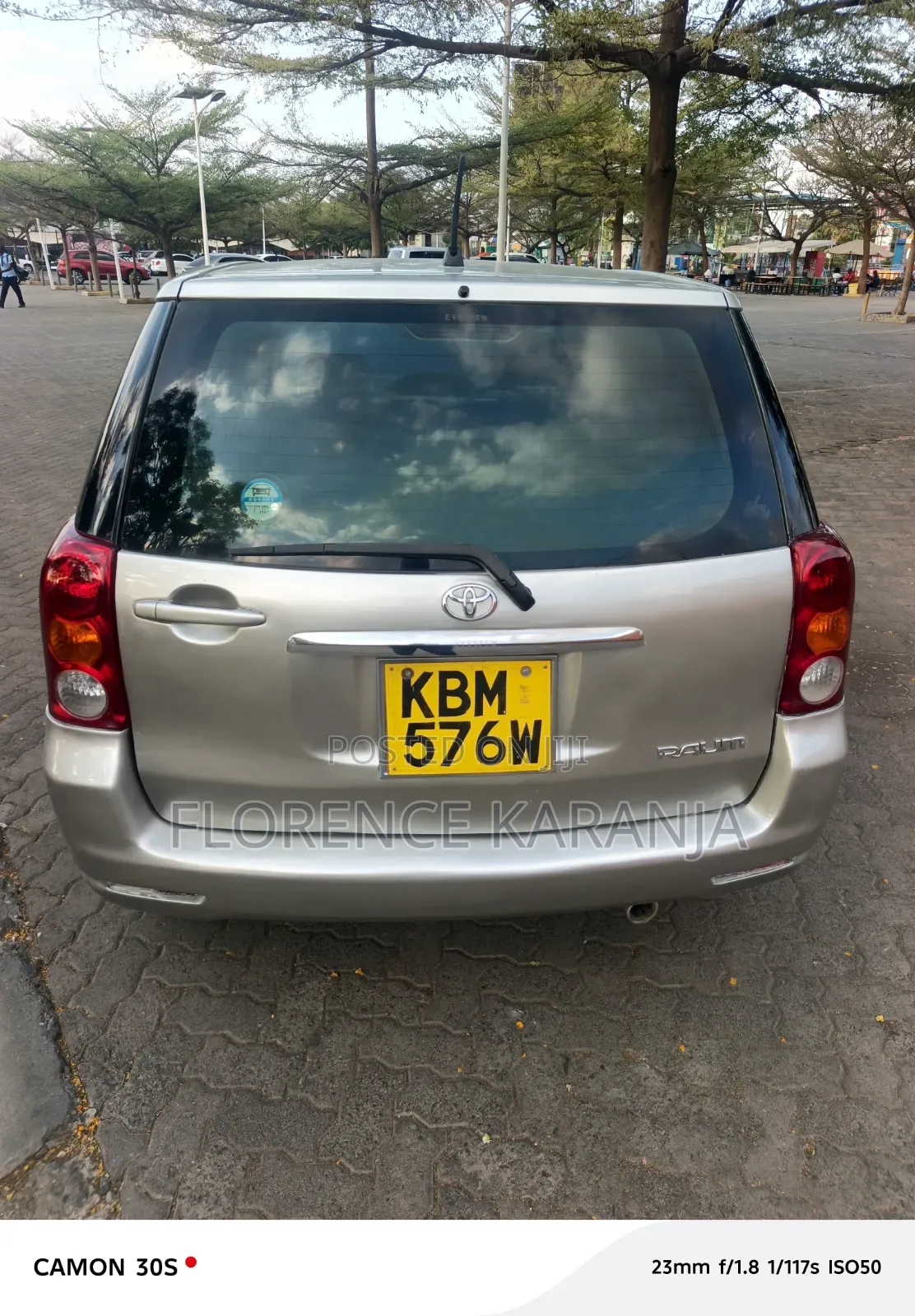 Toyota Raum 2004 Brown