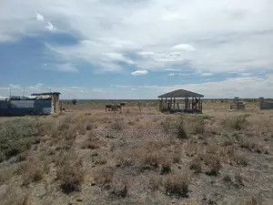 1/2 Acre Kajiado/Konza Plot