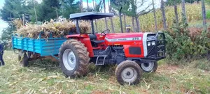 Massey Ferguson 375 Britain Tractor