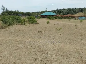Real Estate