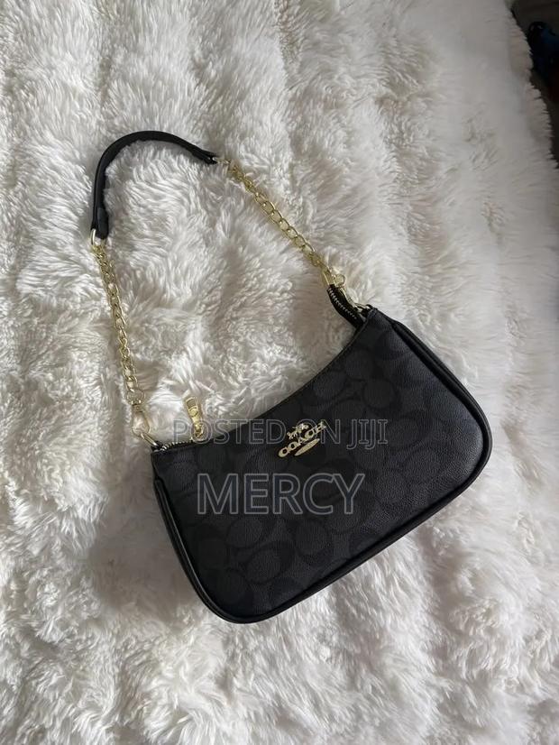 Chloe Luxury Bags