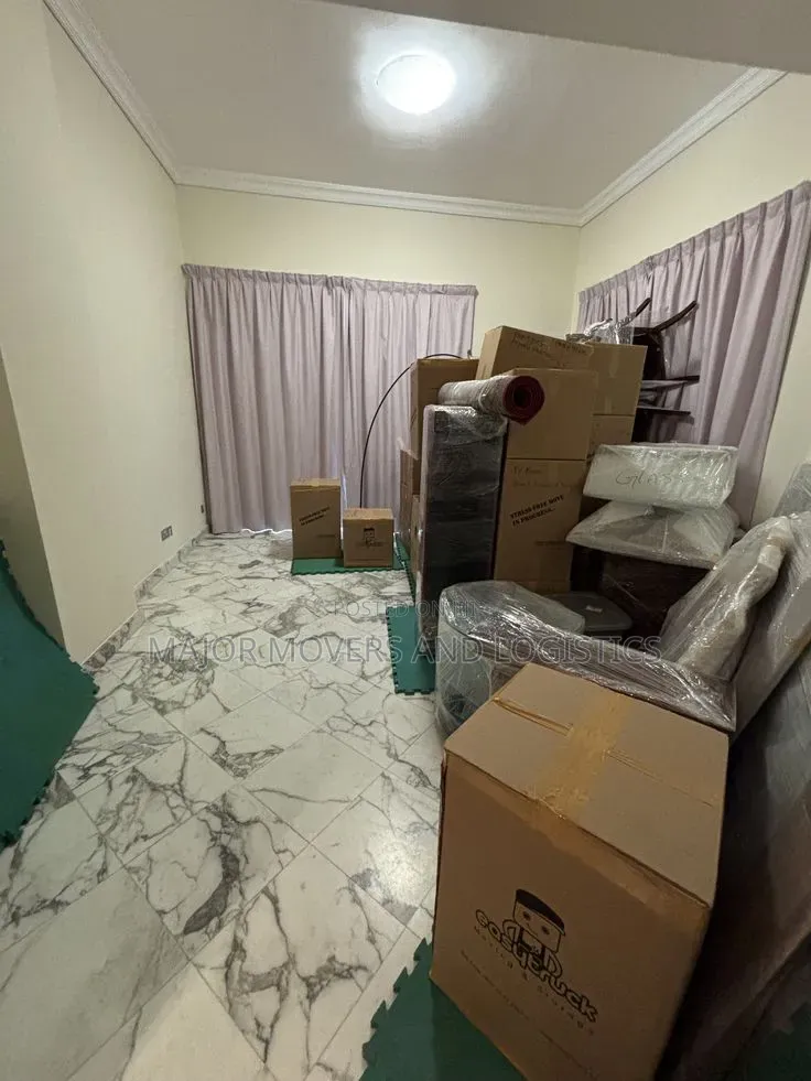 Professional Home Setup Helpers: Kitengela