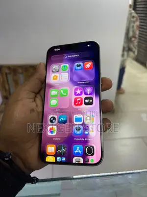 Apple iPhone 15 Pro Max 256 GB Silver