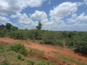 Malindi Magarine Constituency , Baricho Ndakacha Araa 200 Acres