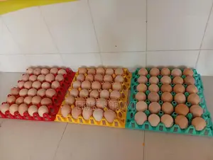 Kienyeji Eggs