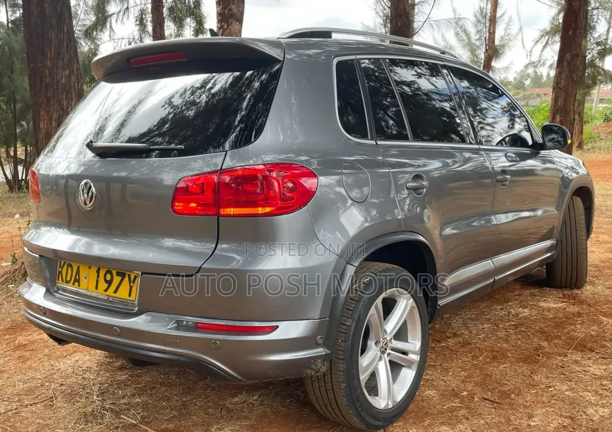 Volkswagen Tiguan 2015 Gray