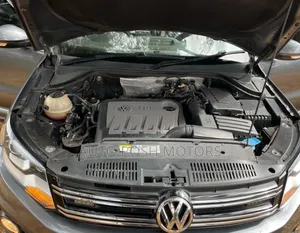 Volkswagen Tiguan 2015 Gray