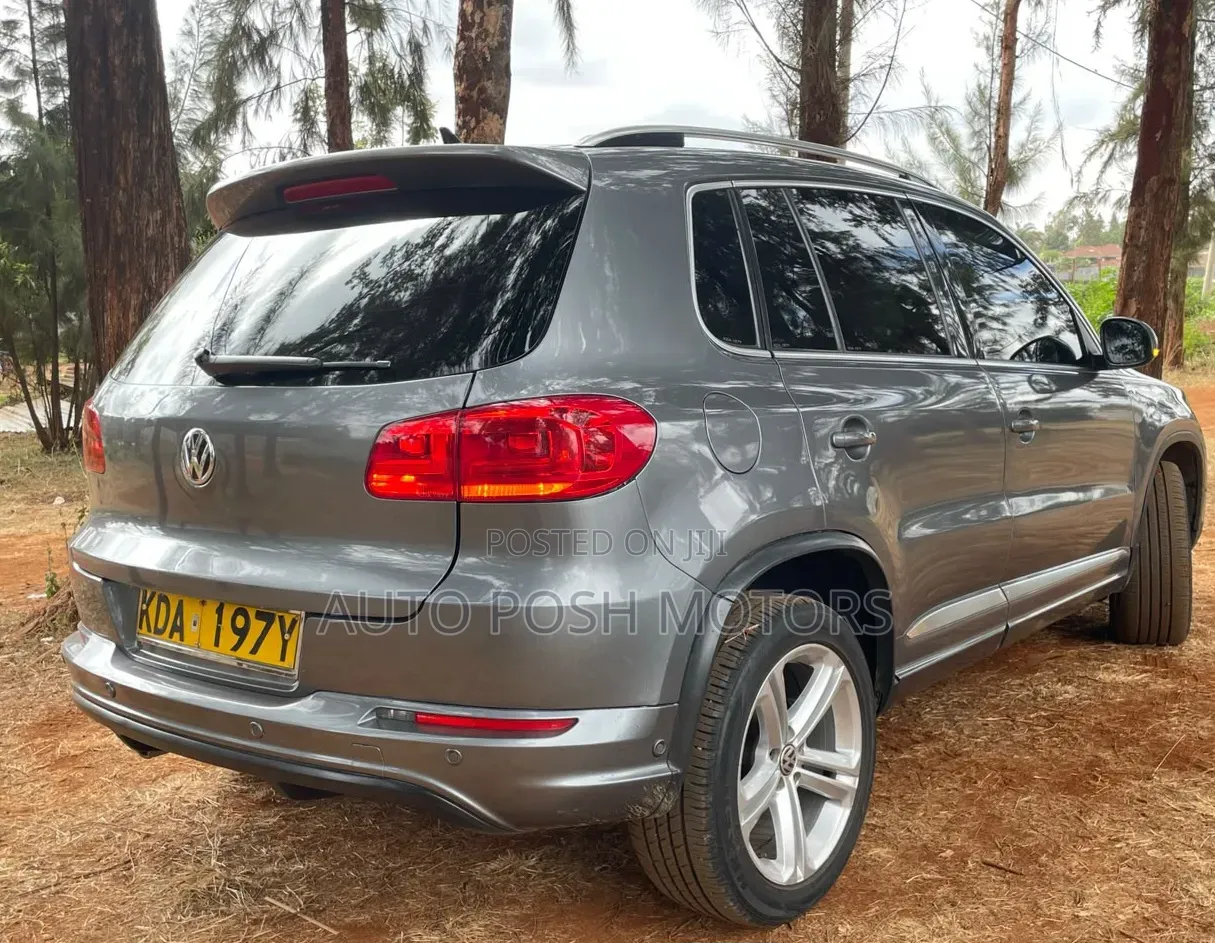 Volkswagen Tiguan 2015 Gray