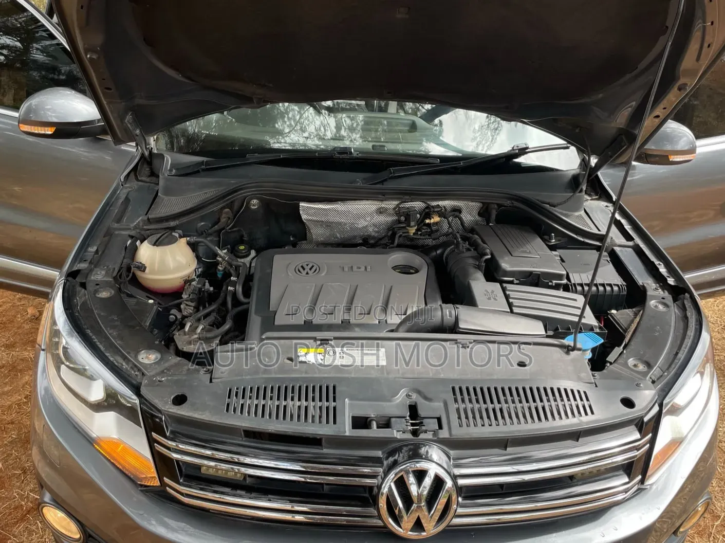 Volkswagen Tiguan 2015 Gray