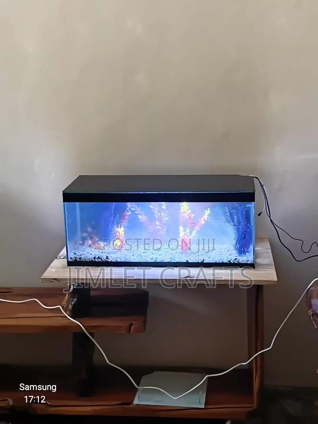 Black Desktop Aquarium - thumbnail 2