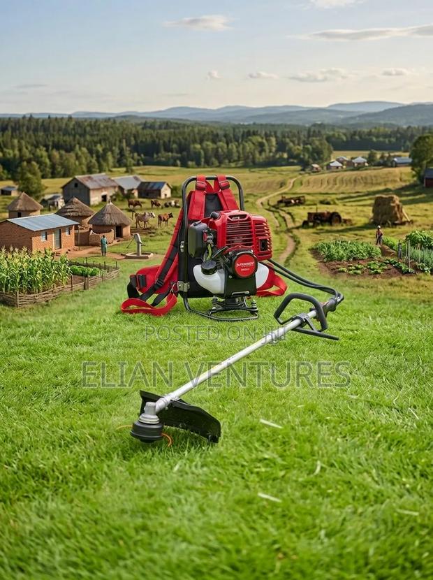 Most Purchased 4 Stroke Back Pack for Sale - main view