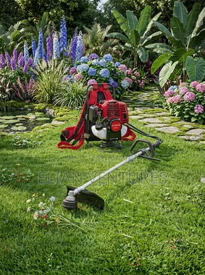 Most Unique Brush Cutter 4 Stroke Back Pack for Sale