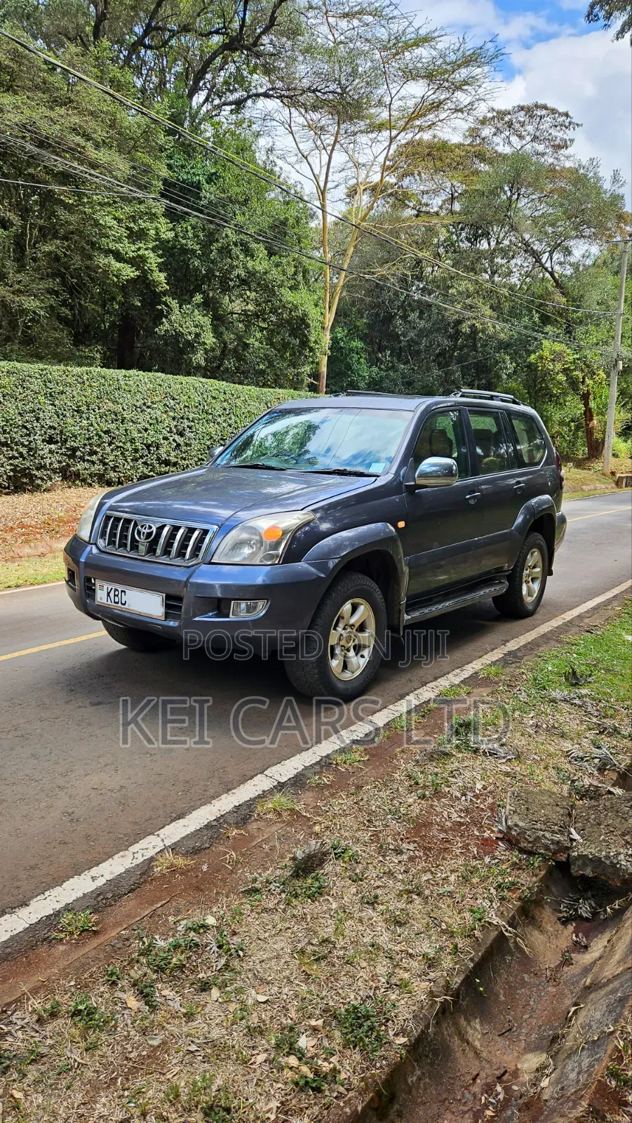 Toyota Land Cruiser Prado 2008 Gray