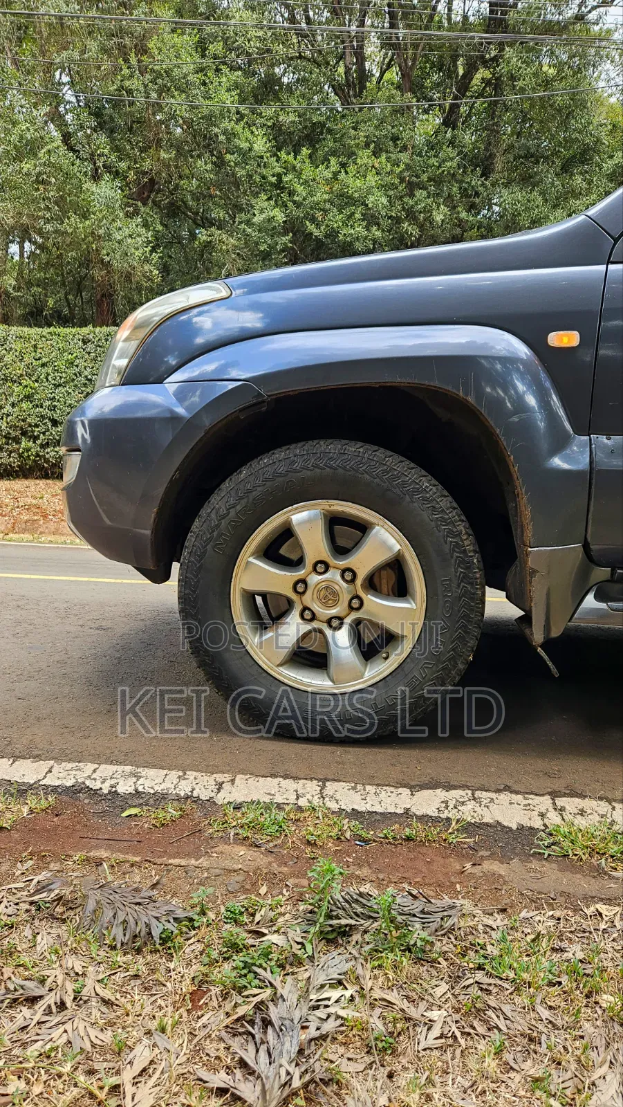Toyota Land Cruiser Prado 2008 Gray