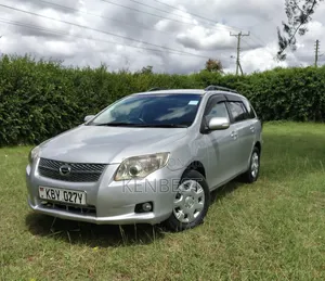 Toyota Corolla Fielder 2007 Silver