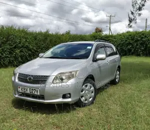 Toyota Corolla Fielder 2007 Silver