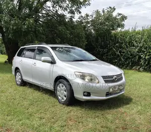 Toyota Corolla Fielder 2007 Silver