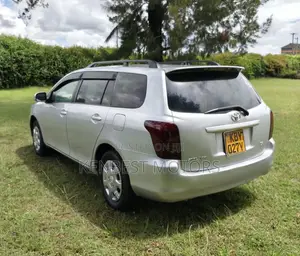 Toyota Corolla Fielder 2007 Silver
