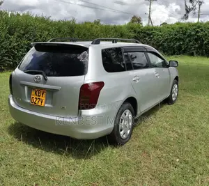 Toyota Corolla Fielder 2007 Silver