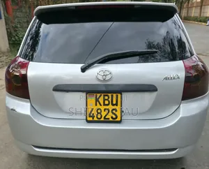 Toyota Allex 2006 Silver
