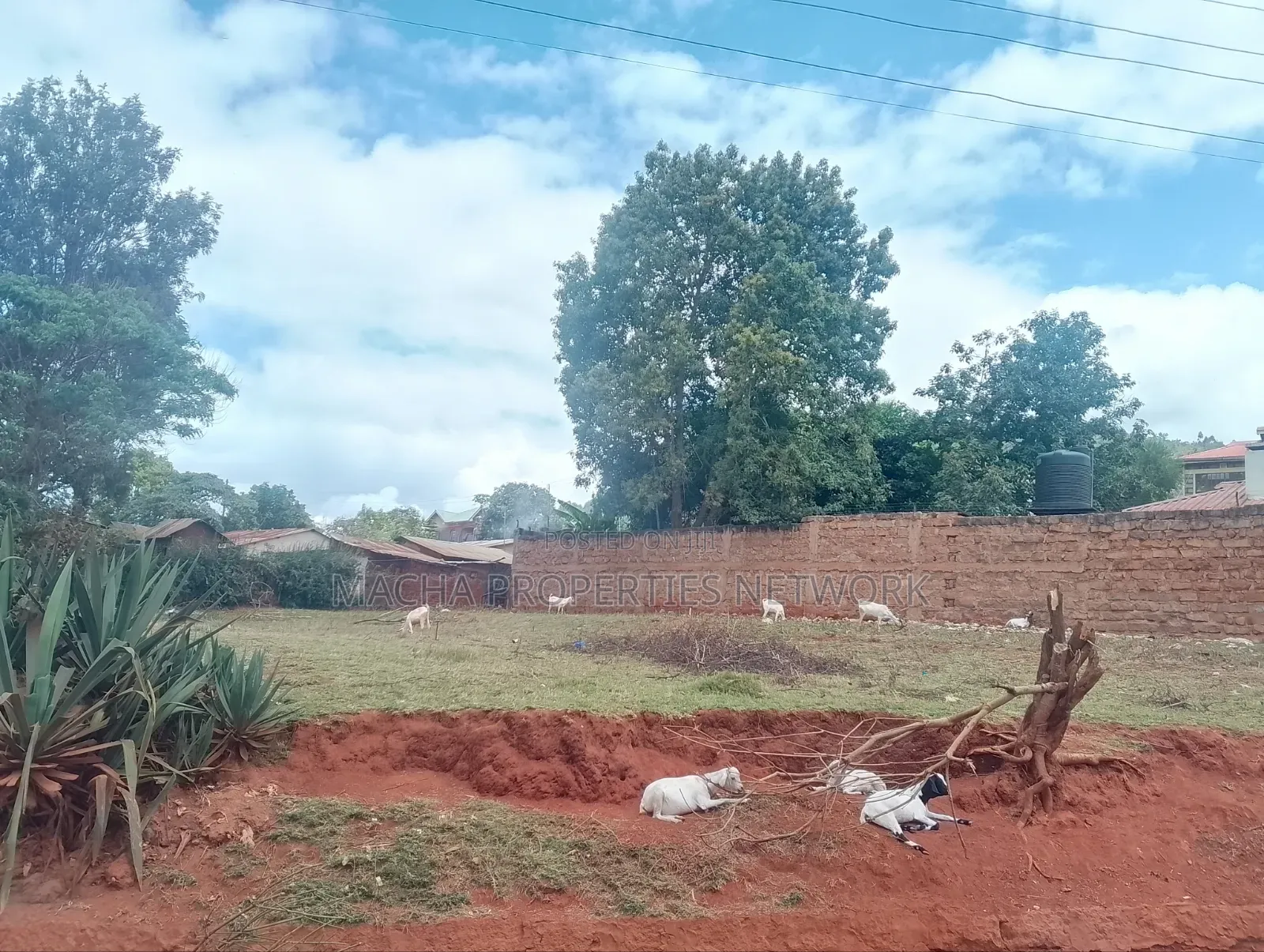 1/4 Plot Machakos Eastleigh Quick Sale 4.5M Per Plot.