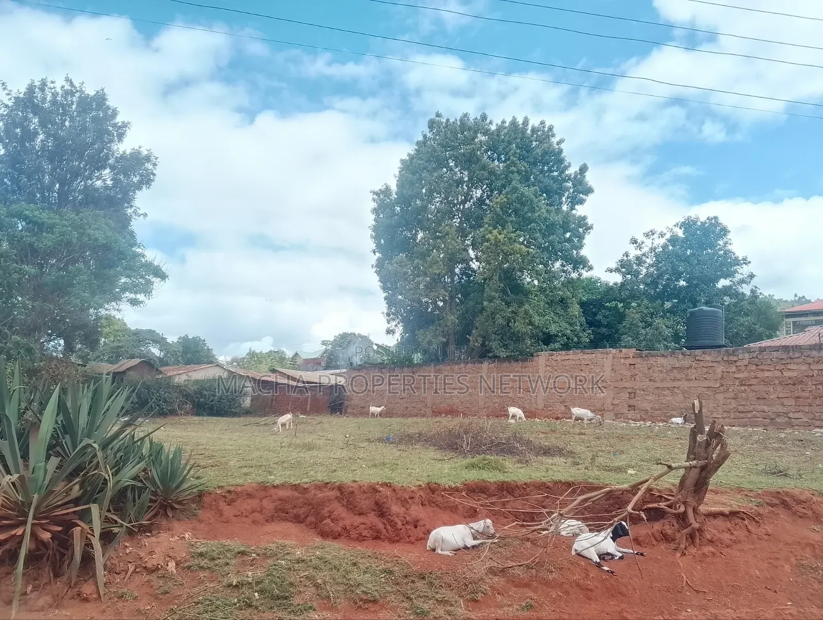 1/4 Plot Machakos Eastleigh Quick Sale 4.5M Per Plot.