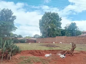 1/4 Plot Machakos Eastleigh Quick Sale 4.5M Per Plot.