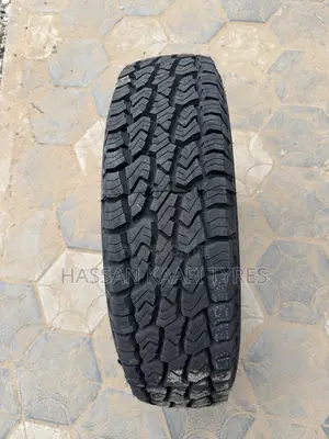 205R16C Sailun Tyre