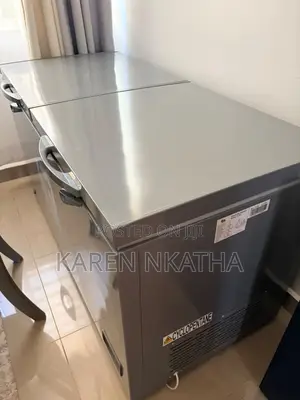 Commercial Showcase Freezer Available for Sale in Kitengela!