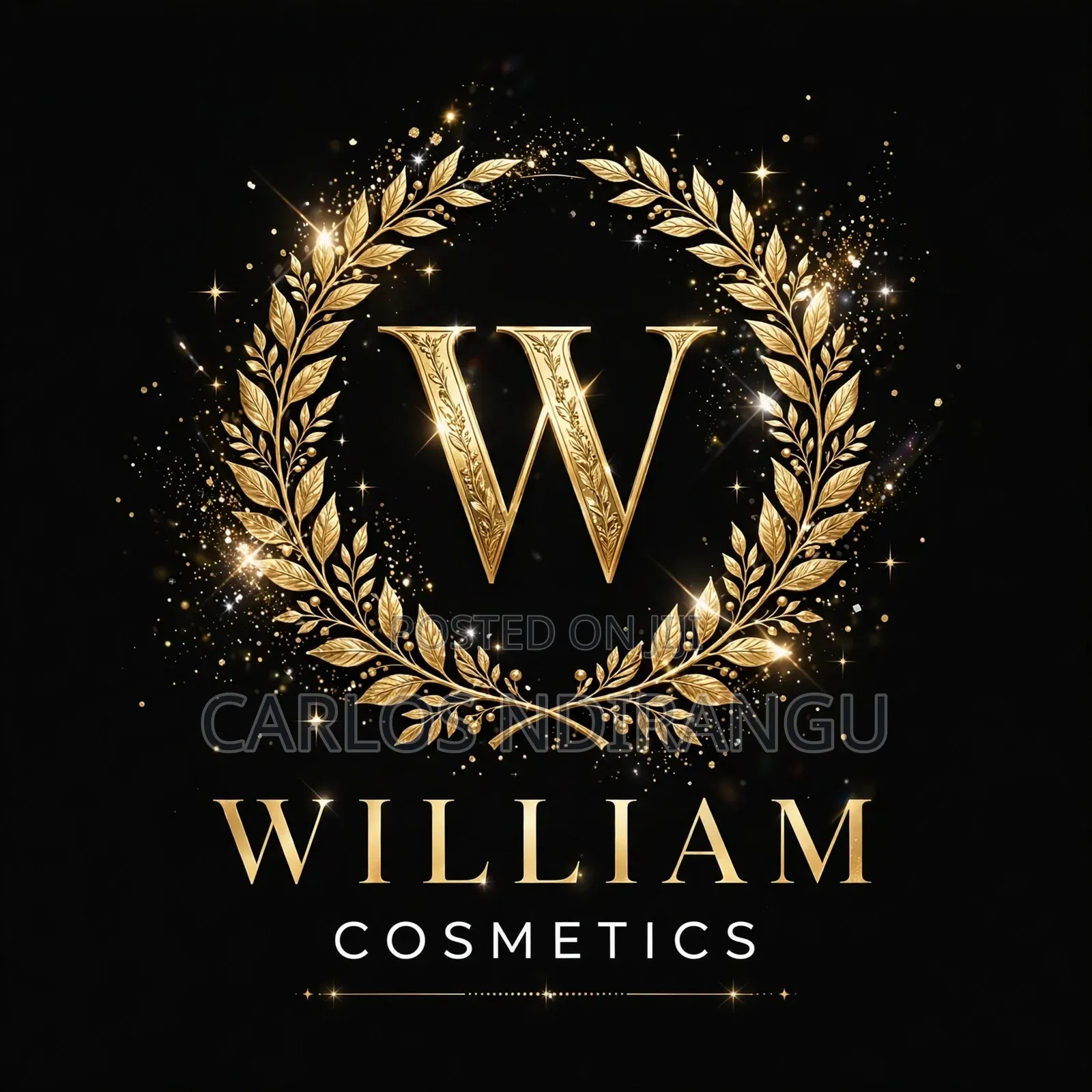 Professional Posters and Logos