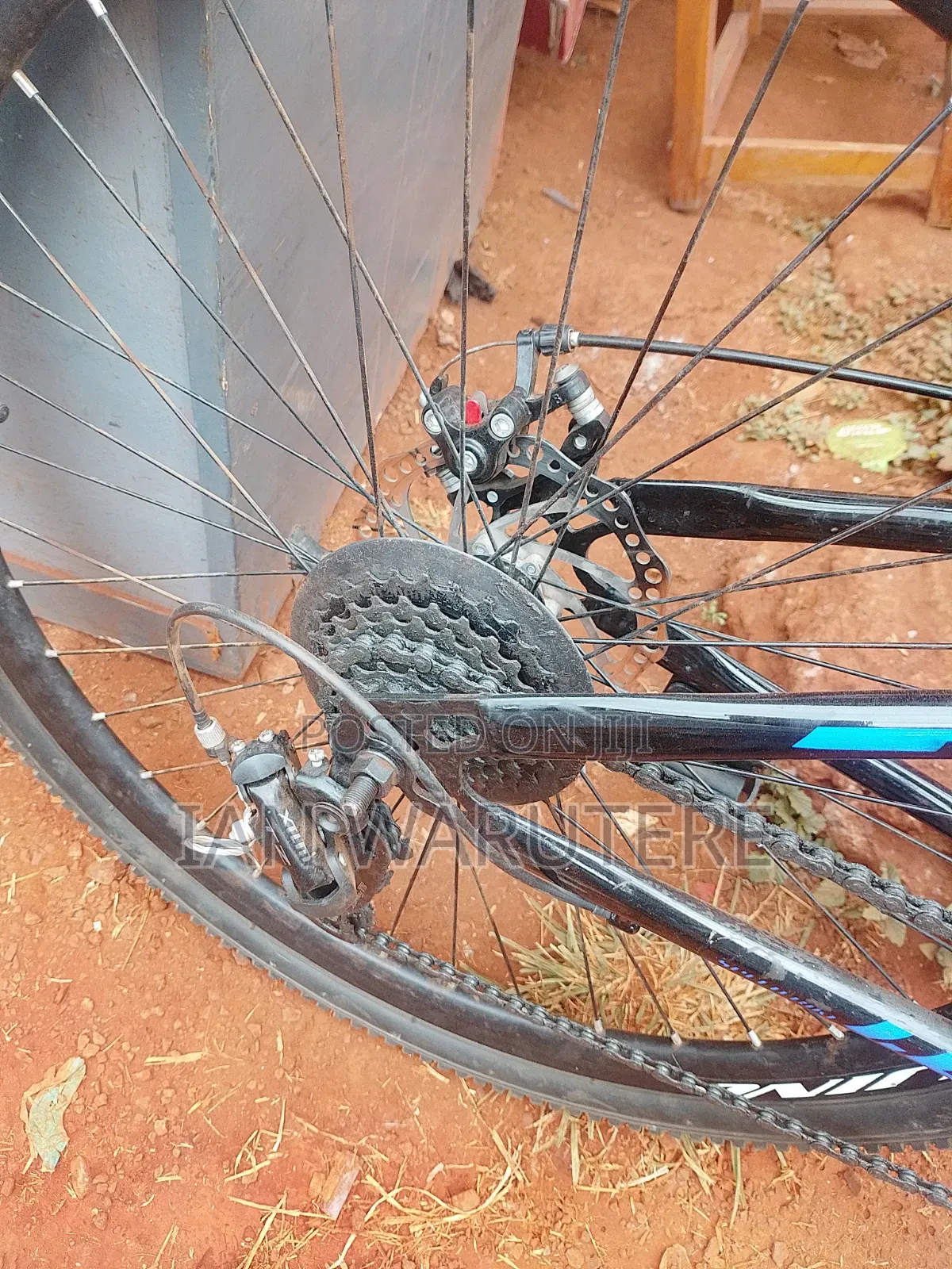 Bellelli Bikes