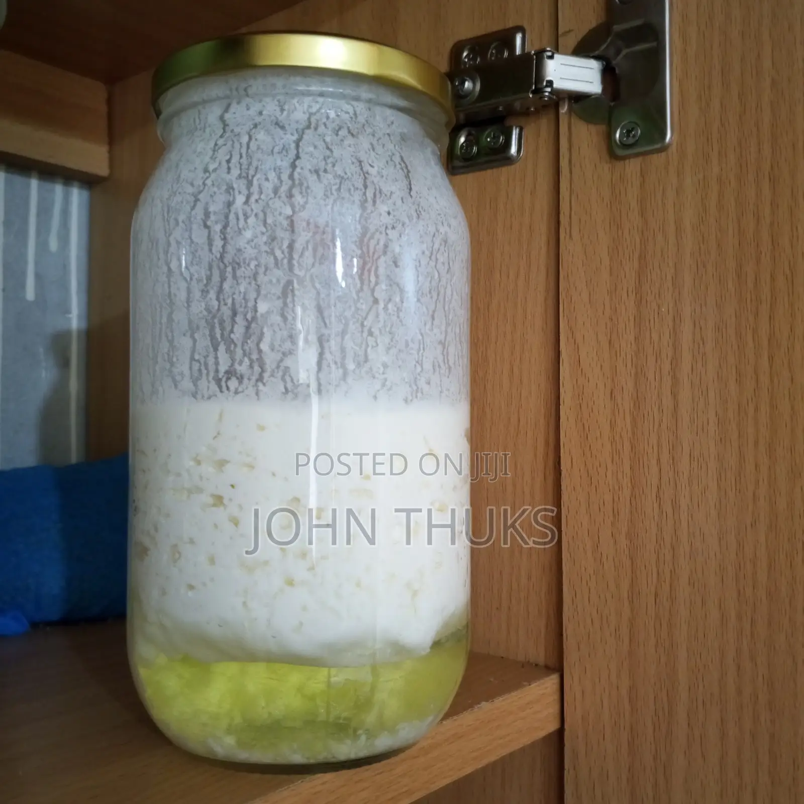Kefir Milk Grains