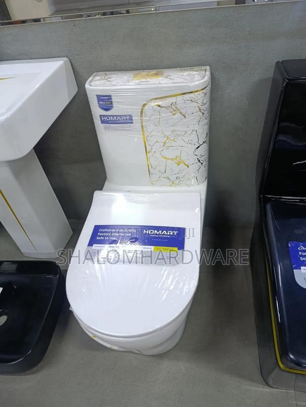 Tonando Gold Strip Toilet - main view