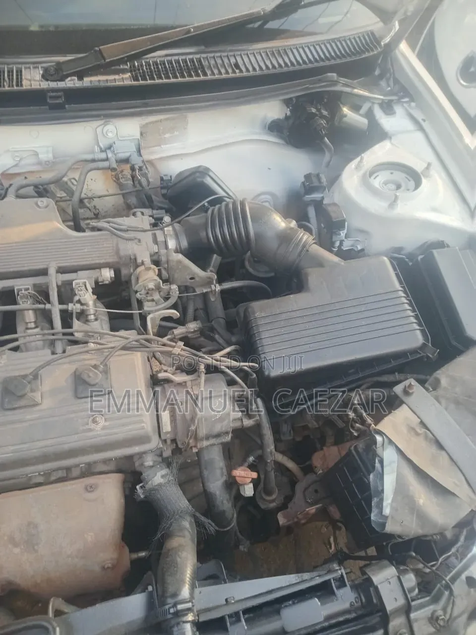 Toyota Corolla 1994 White