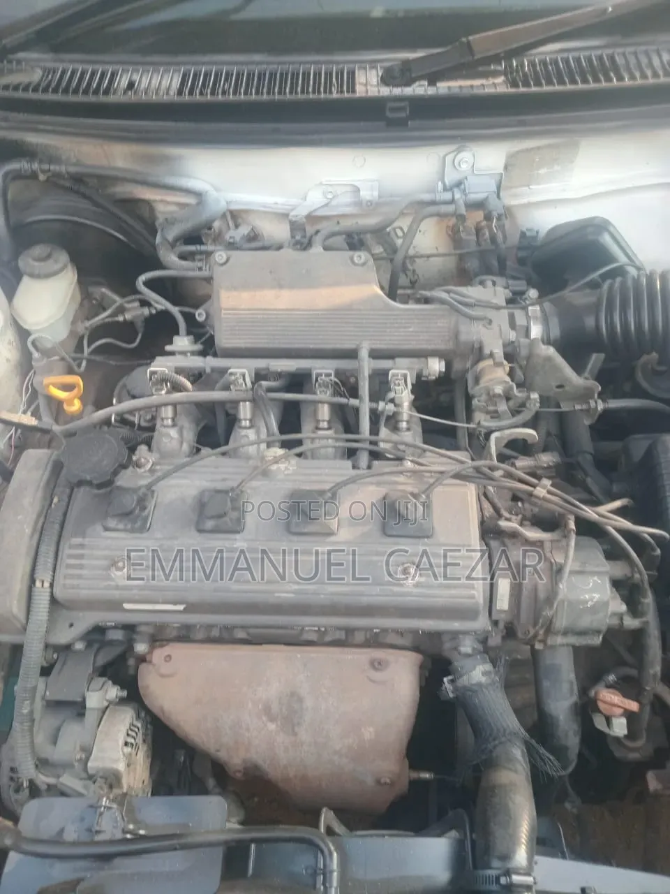 Toyota Corolla 1994 White