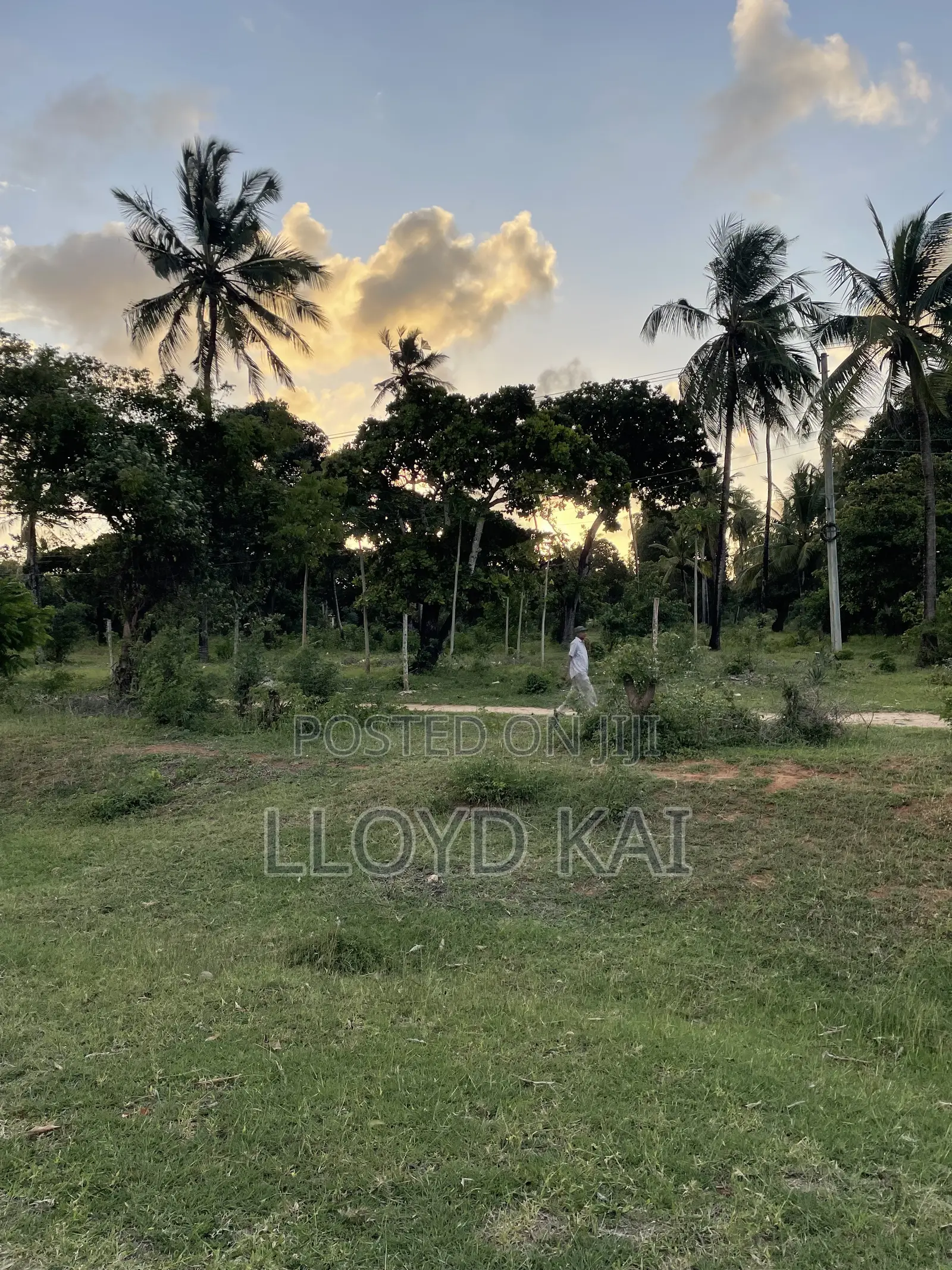 High-Yield Development Land in Tezo | Direct Highway Frontage