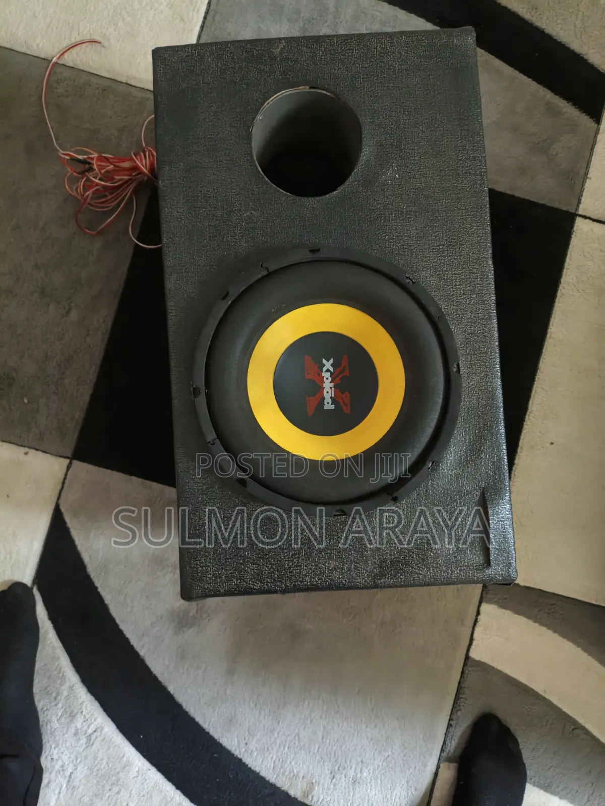 Bass Speaker