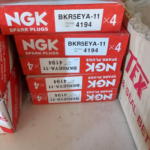 Spark Plug NGK - main view