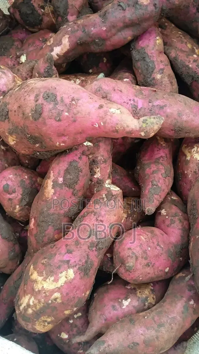 Selling Sweetpotatoes
